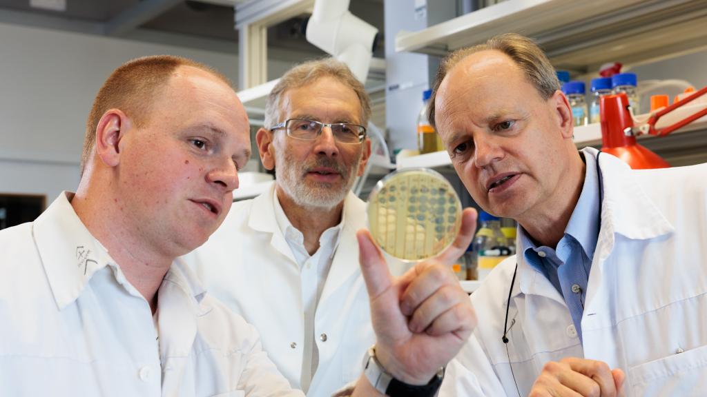 Bactériophages : De droite à gauche : Christian van Delden, Thilo Köhler et Alexandre Luscher - Copyright : Jonathan Imhof/ HUG