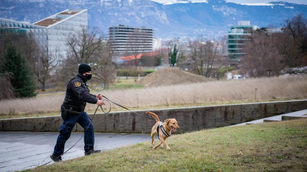 Un chien renifleur du Service de sécurité et de sûreté de l’Office des Nations Unies à Genève