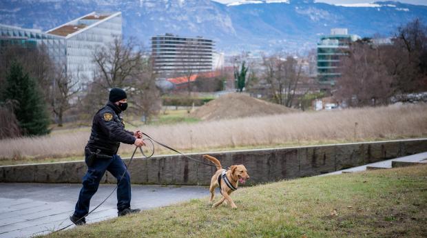 Un chien renifleur du Service de sécurité et de sûreté de l’Office des Nations Unies à Genève