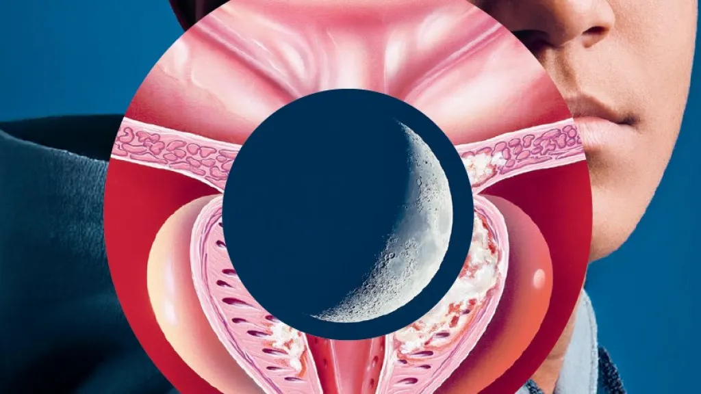 Couverture du Pulsations Magazine octobre-décembre 2025