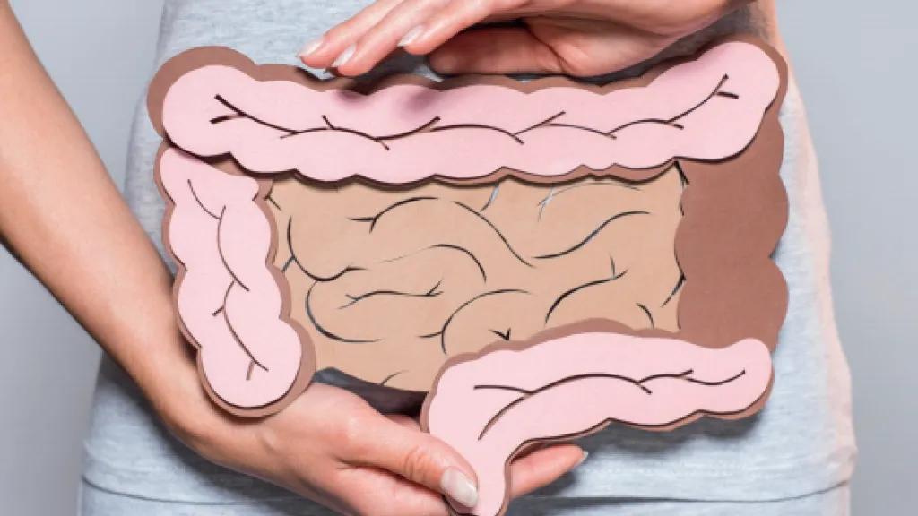 Mieux dépister les cancers du côlon et du rectum - HUG