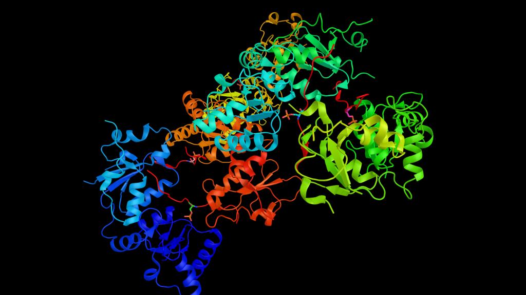 Représentation en 3D de la structure du gène BRCA1 © istock