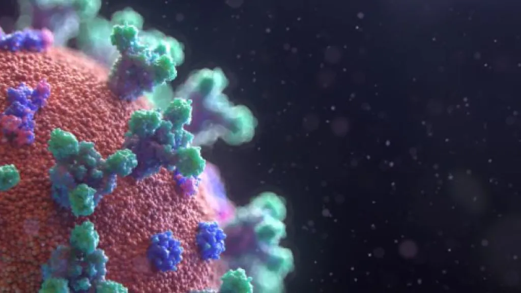 Covid-19 : la vaccination diminue fortement la charge virale infectieuse - 