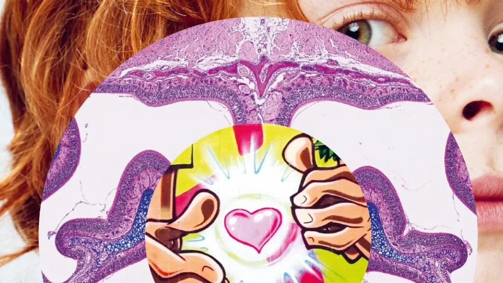 Pulsations juillet - septembre 2023