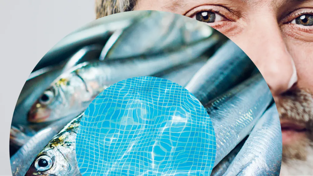 Pulsations magazine juillet-septembre 2024