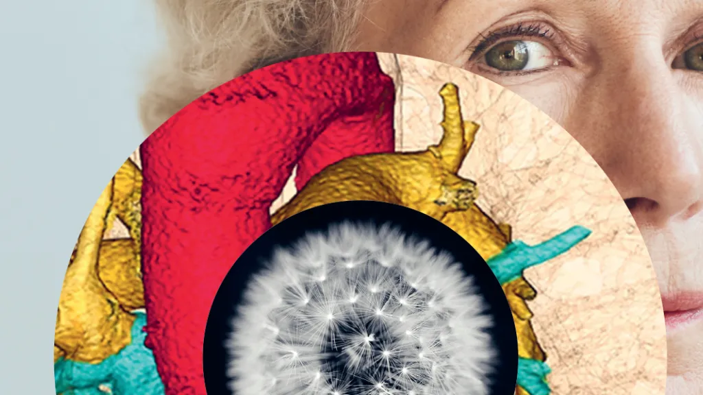 Couverture du Pulsations magazine janvier mars 2025