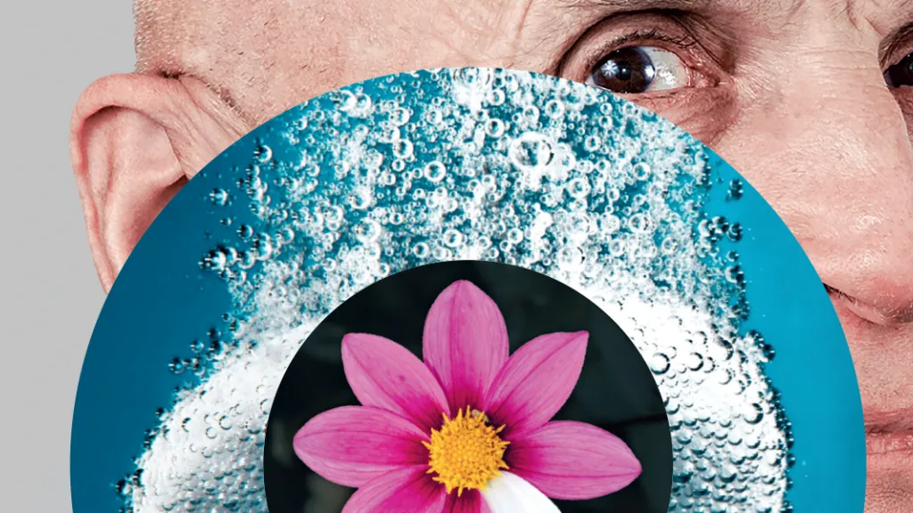 Banner Pulsations juillet-septembre
