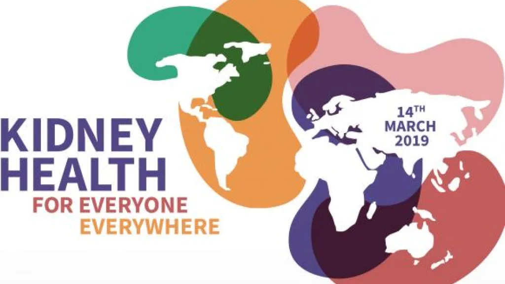 Journée mondiale du rein : 10% de la population souffre d’atteinte rénale : dépistage gratuit le 14 mars