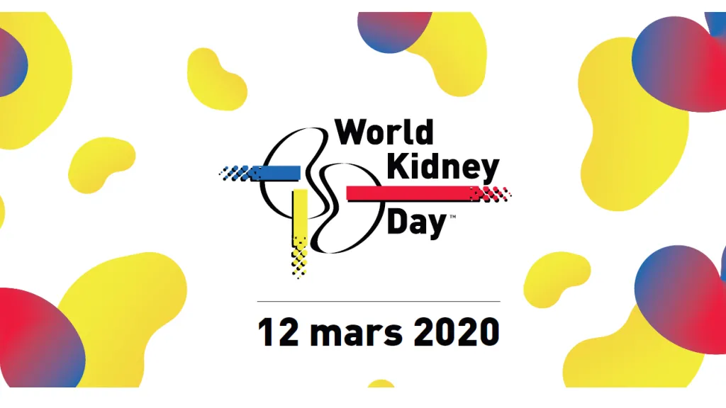 Journée mondiale du rein : dépistage de l’insuffisance rénale : les HUG à la rencontre du public
