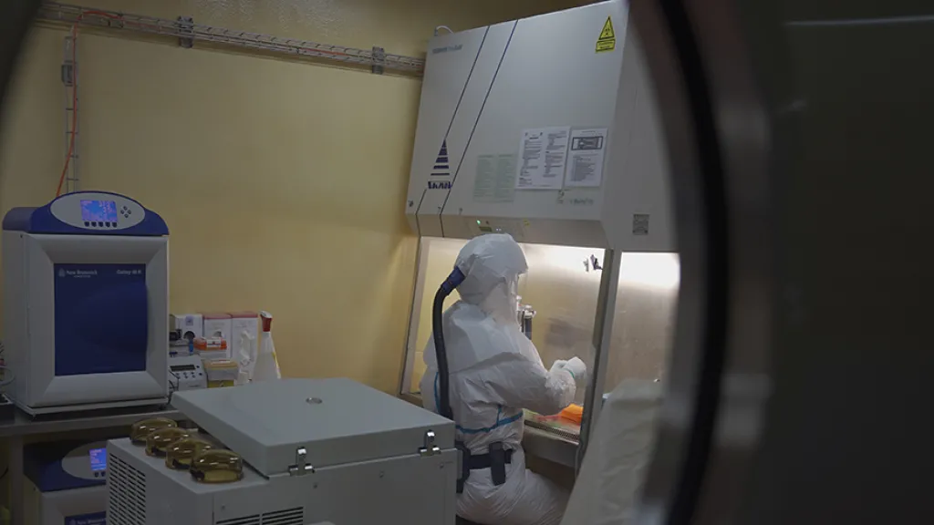 Laboratoire de virologie BSL3© IVI » 