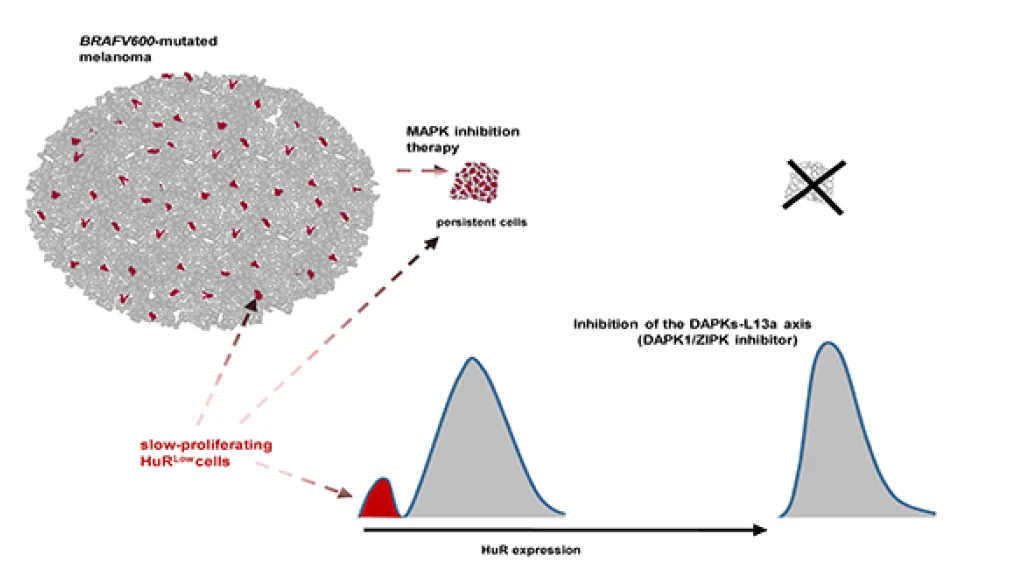 © UNIGE – Rastine Merat