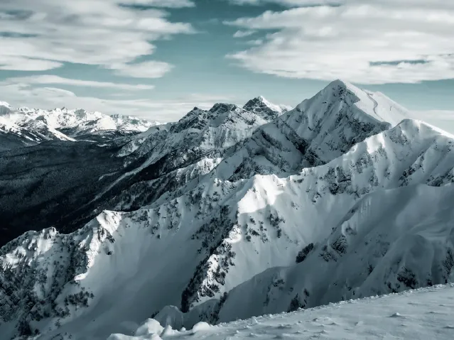 traitement de l'arthrose avant la prothèse