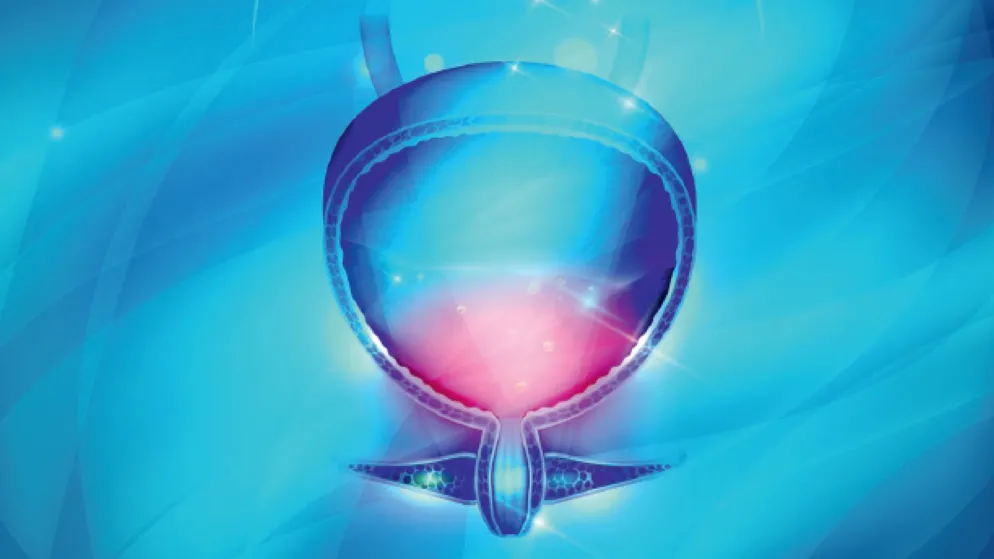 Séminaire d'infectiologie pour les praticiens