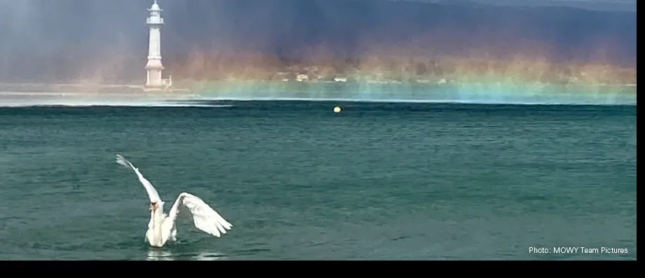 Image colloque des 4 saisons