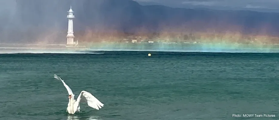 Image colloque des 4 saisons