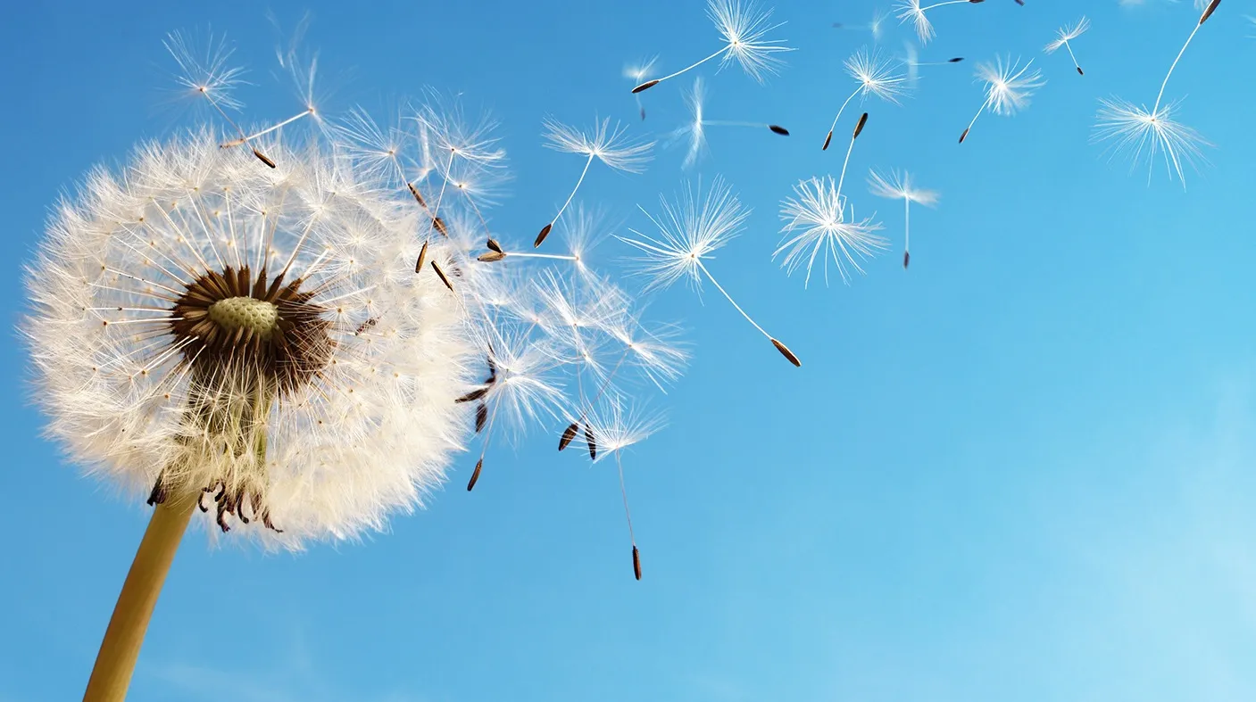 Centre du cancer du poumon - symposium mai 2023