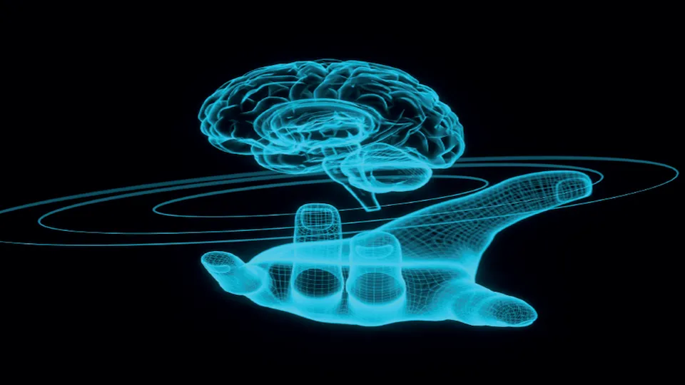 cerveau en transparence