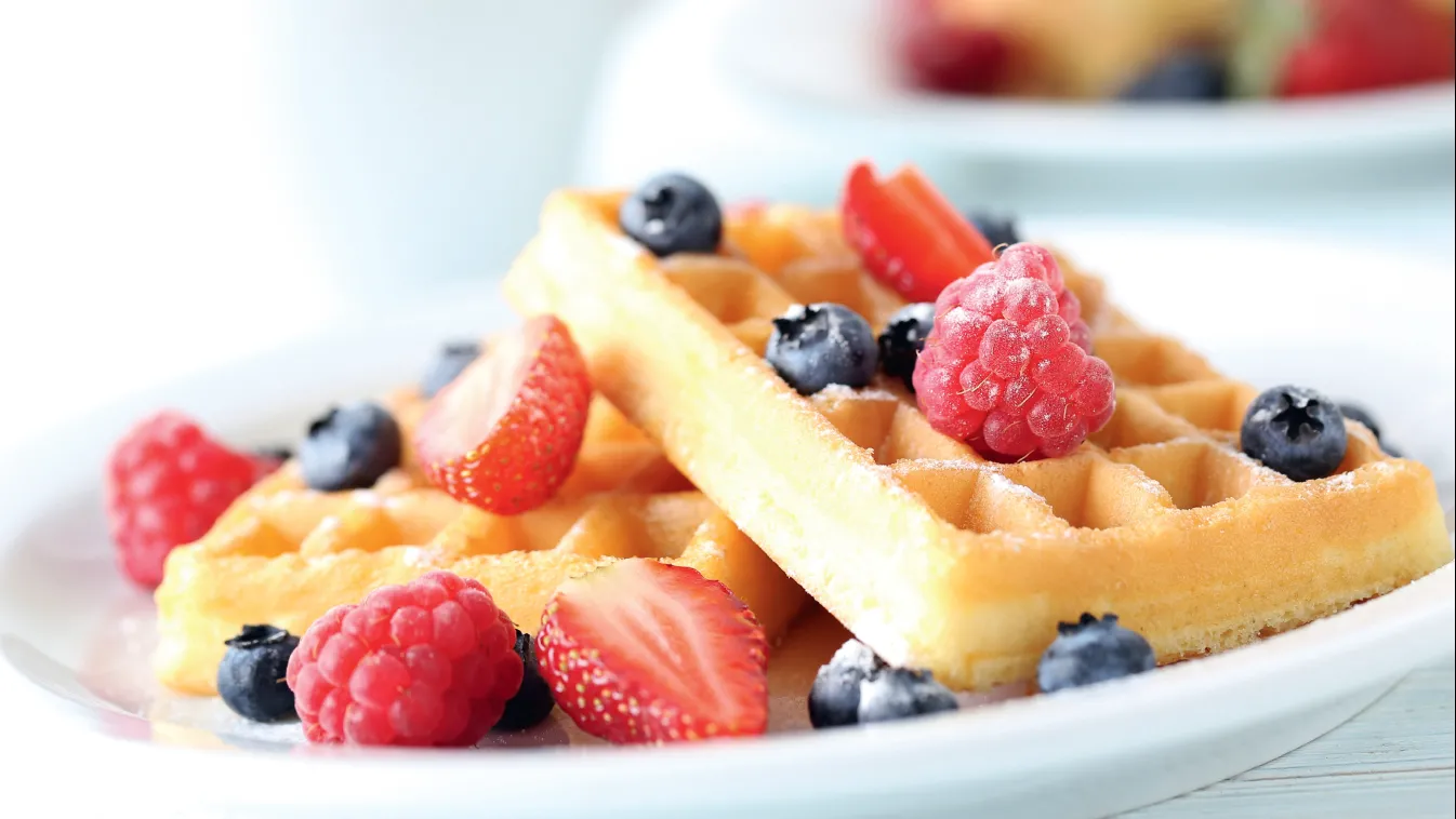 Dégustation gaufres au don du sang