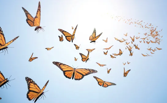 Inauguration du Centre d’éducation thérapeutique du patient