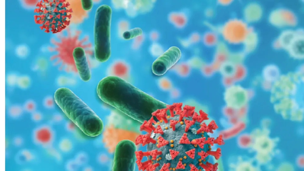 Conférence ICPIC 2021