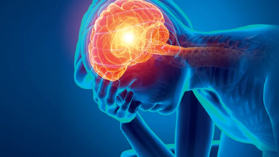 réseau douleurs symposium 2023