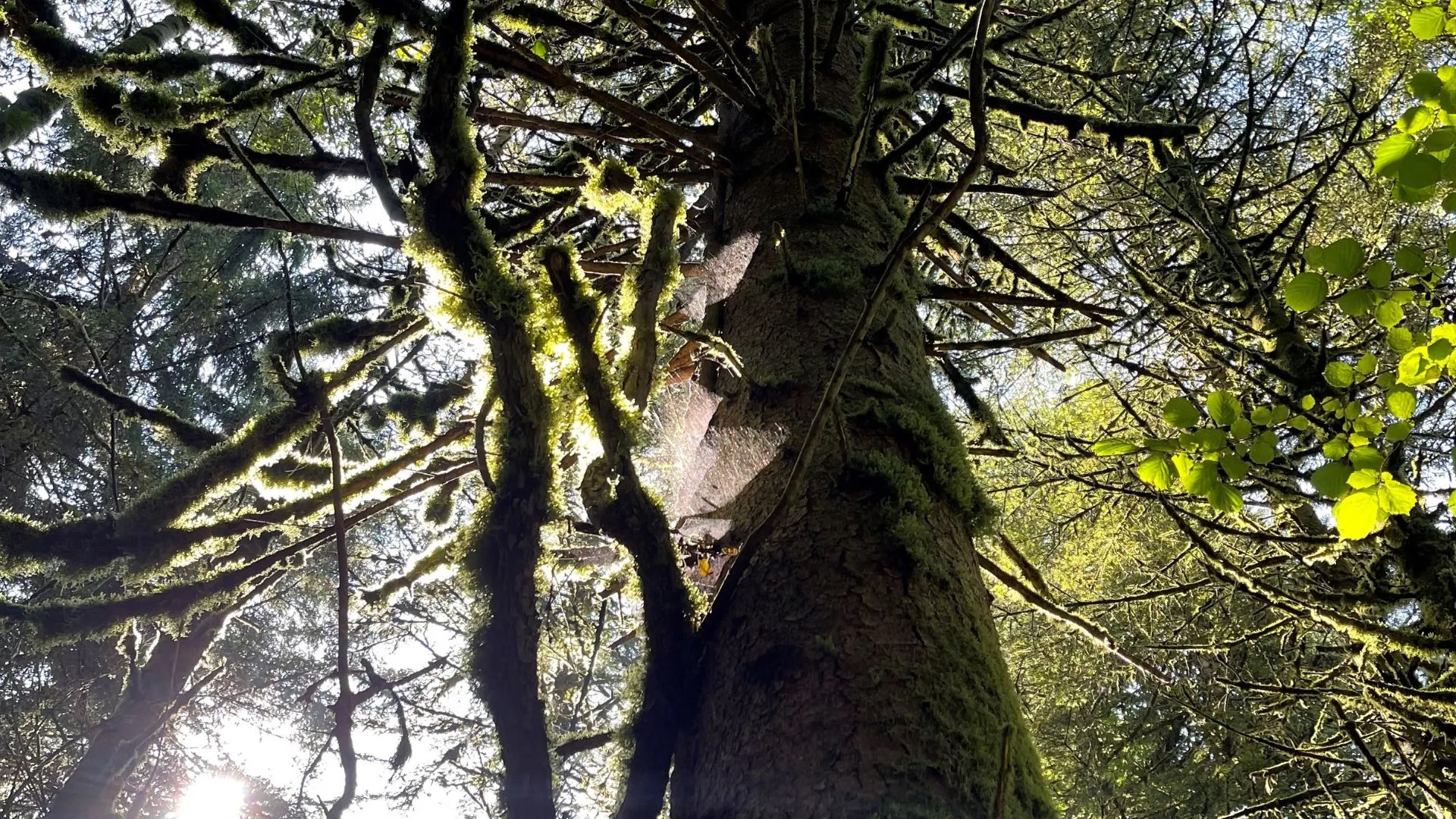 formation sp médecins