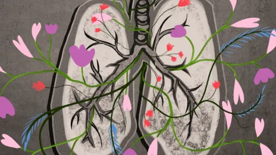 Leçon inaugurale du Professeur Alfredo Addeo
