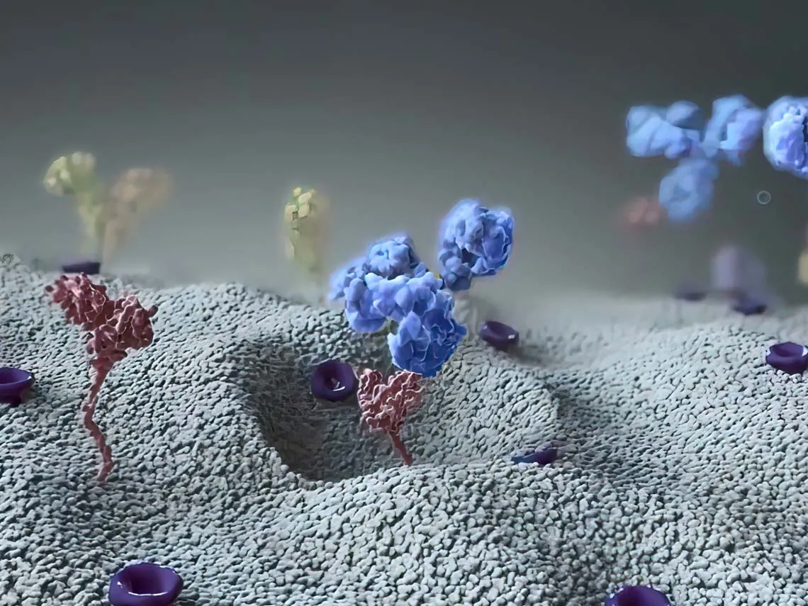 Leçon d'adieu Pr. Dietrich