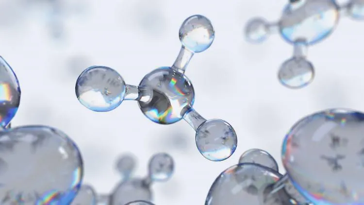 Fondation Leenaards : Prix scientifique 2022 & conférence