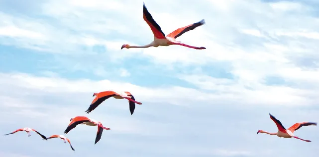 30ème journée romande de médecine des voyages : longs voyages, expatriés