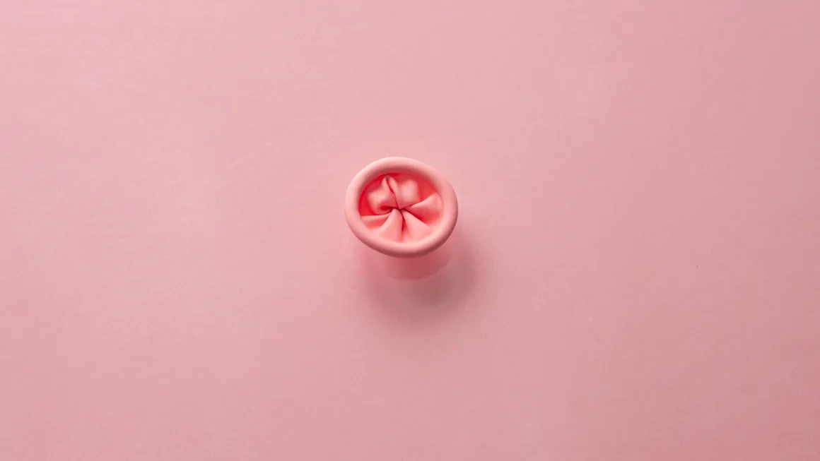 visuel cours de proctologie