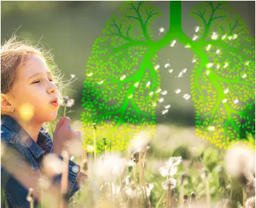 Symposium en l'honneur de la Pre Barazzone
