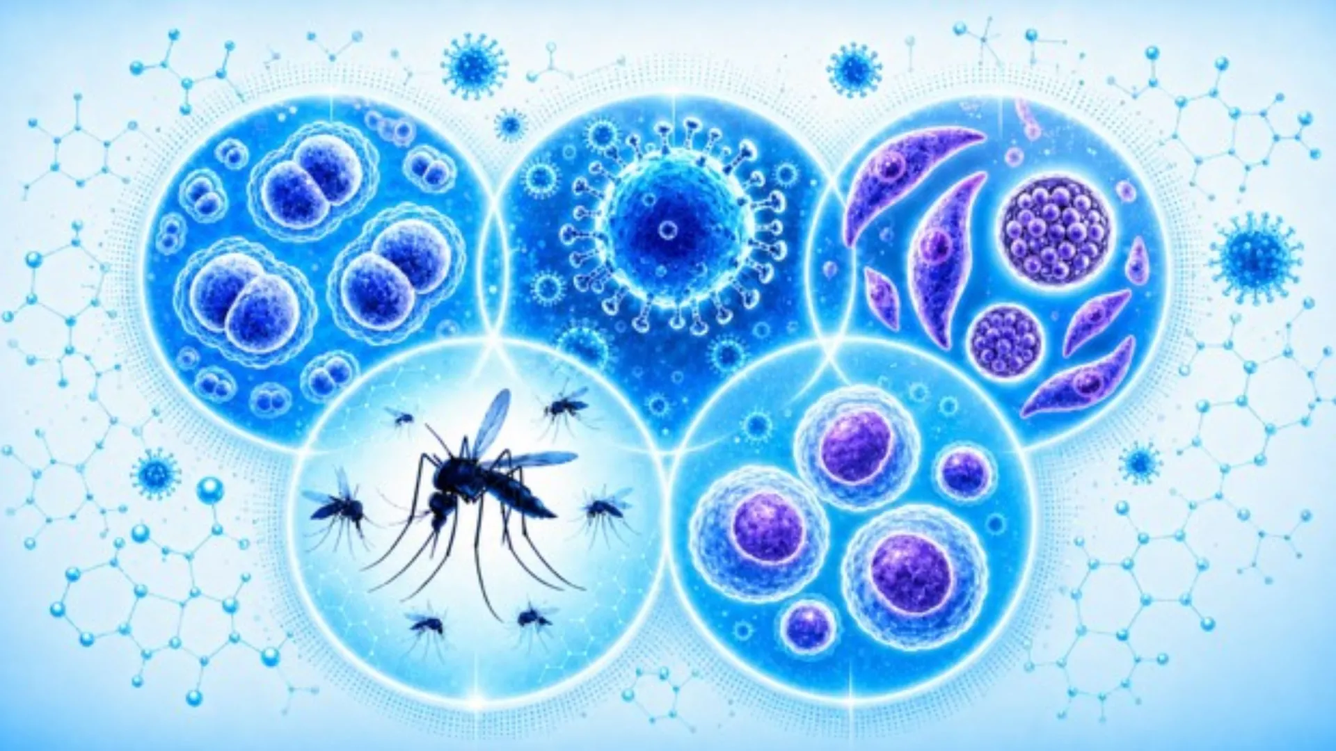 Séminaire d’infectiologie, pour praticiens et praticiennes 