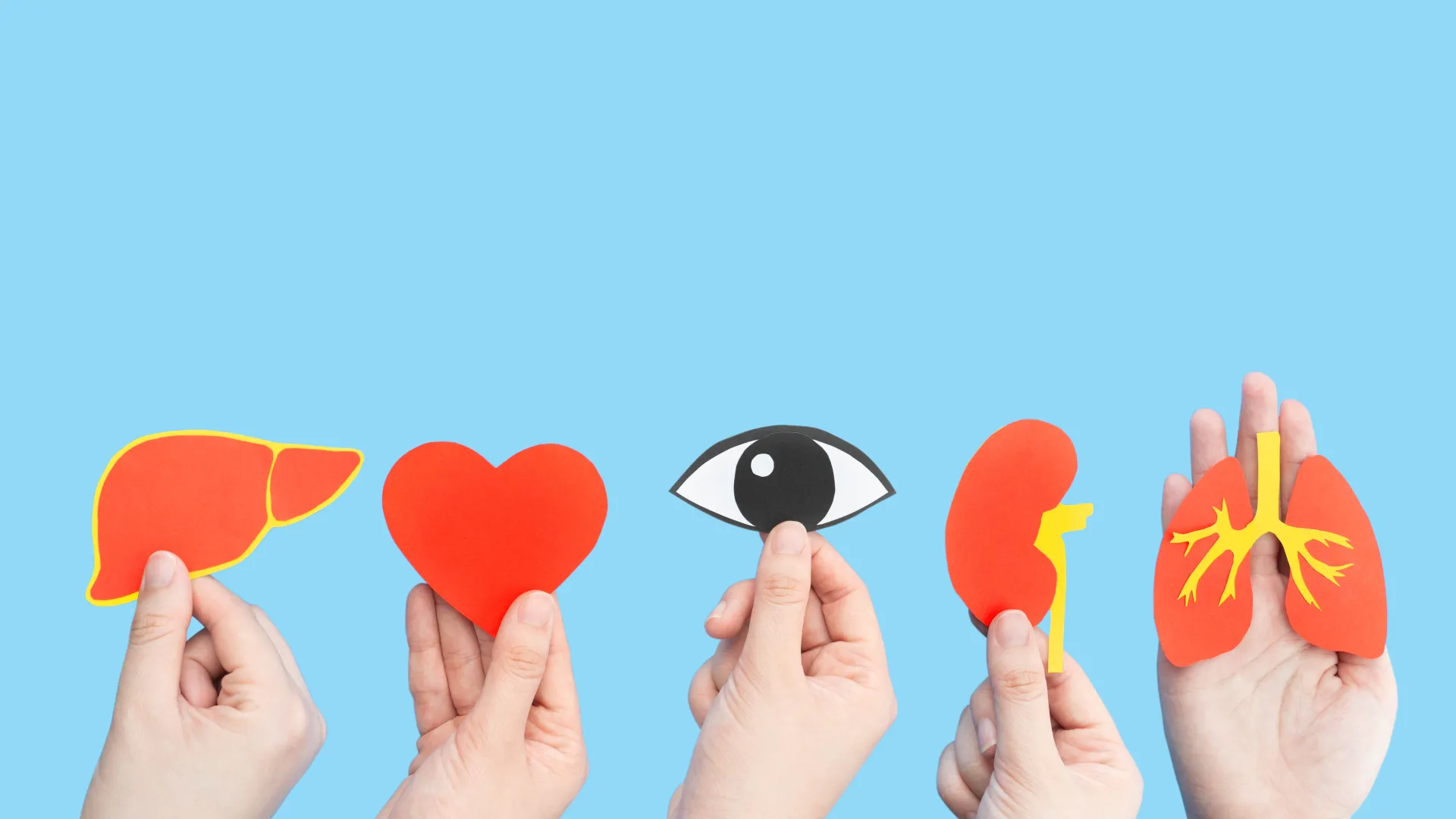 Journées de sensibilisation au don d'organes et de tissus