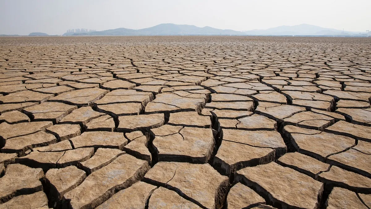 conférence escarres prévention