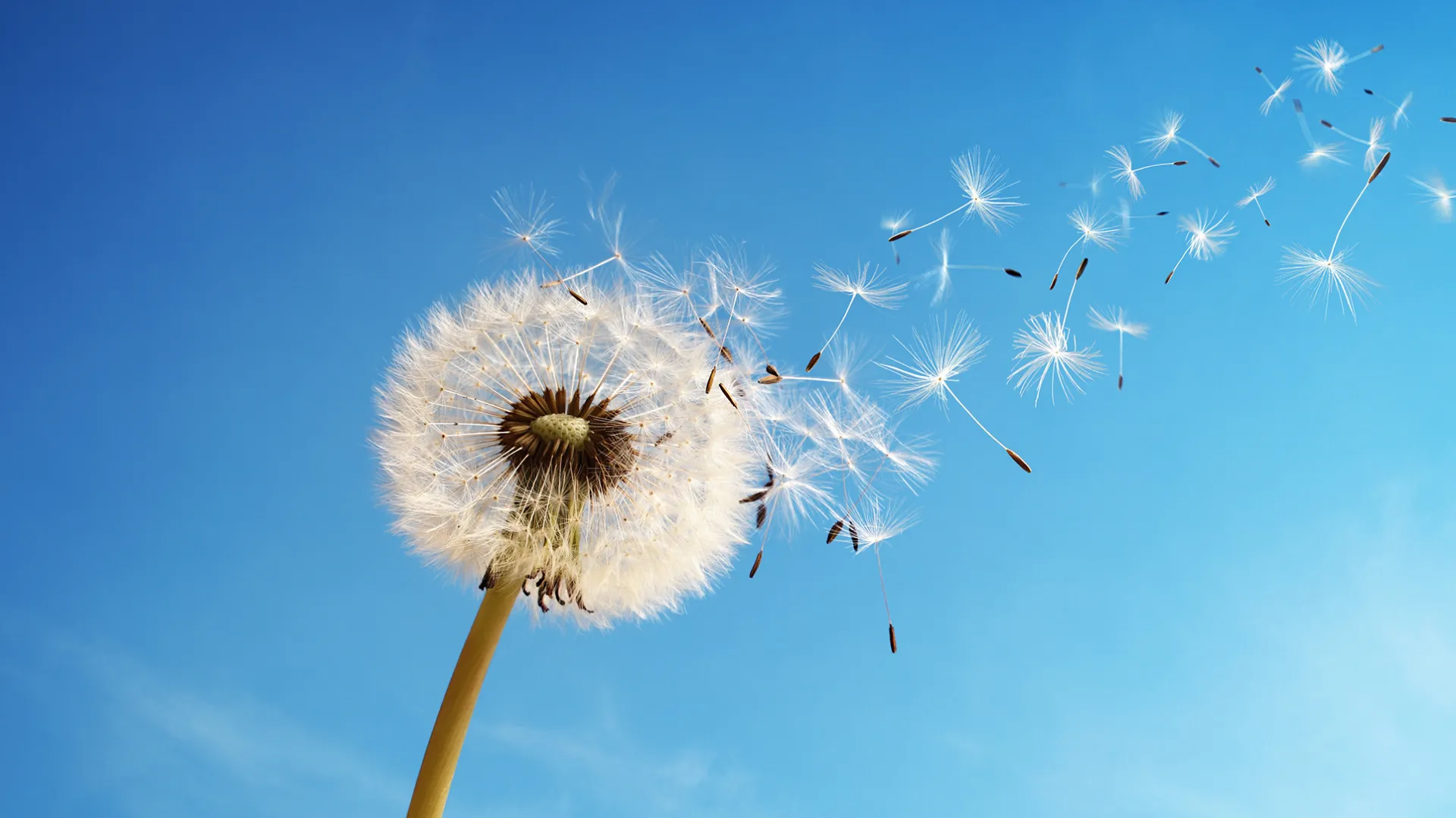 Conférence Centre du cancer du poumon, novembre 2023