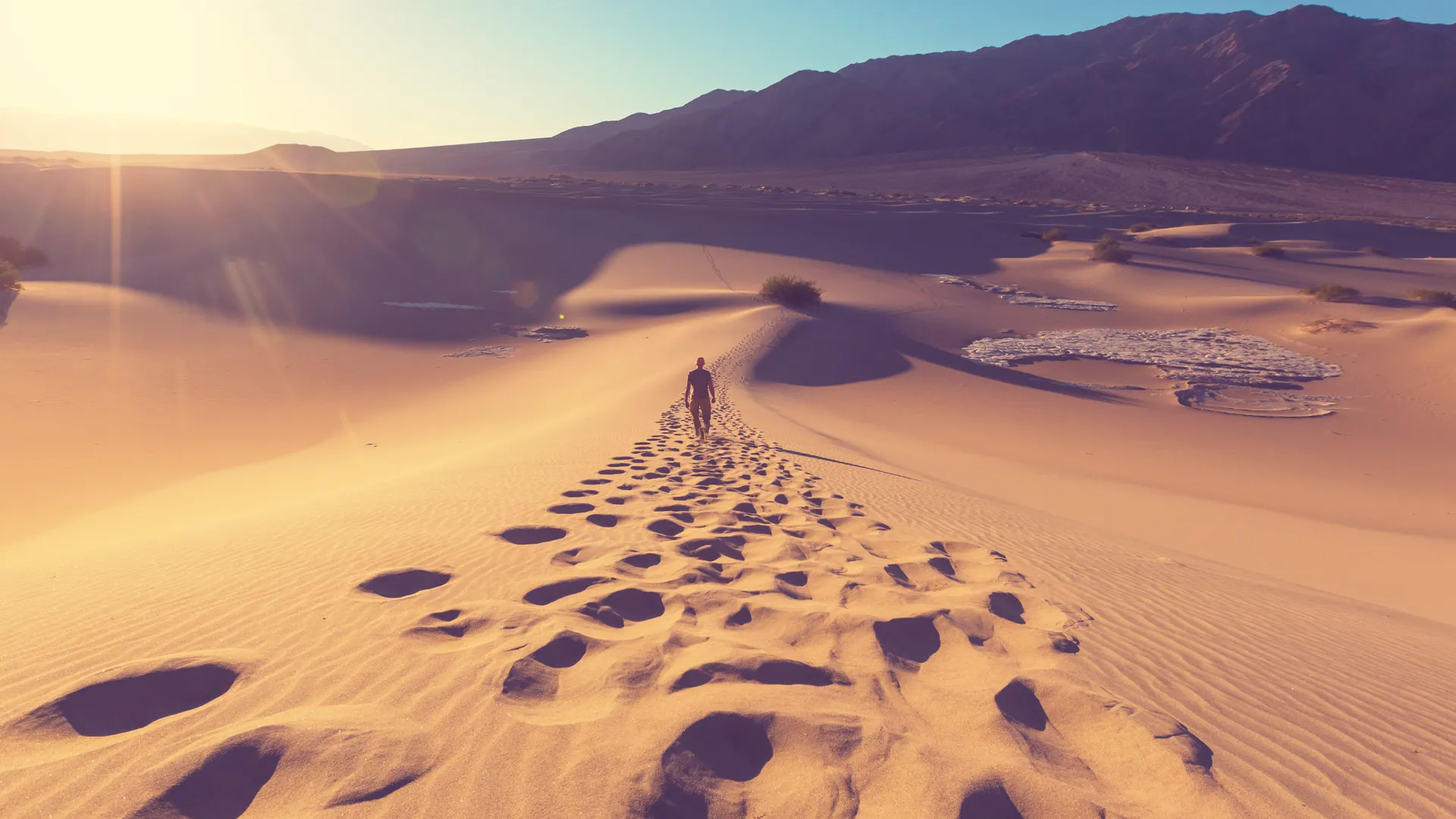 Cérémonie du souvenir 2022
