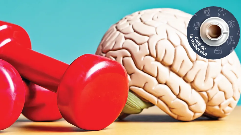 Cerveau avec altères