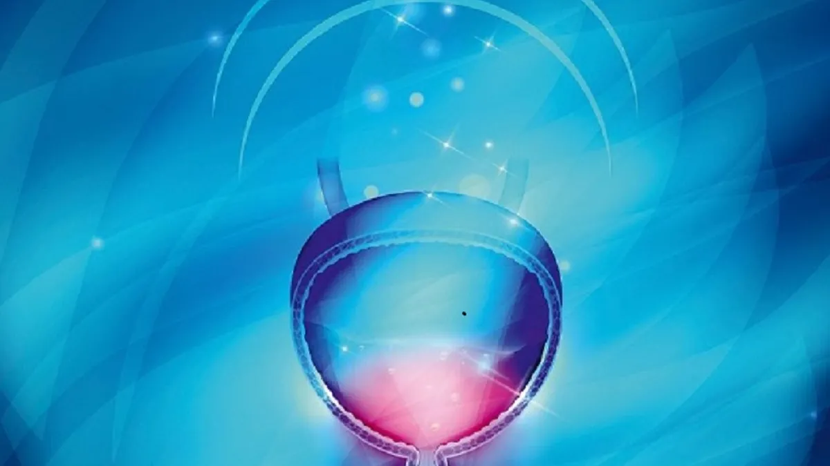 Séminaire d'infectiologie pour les praticiens 