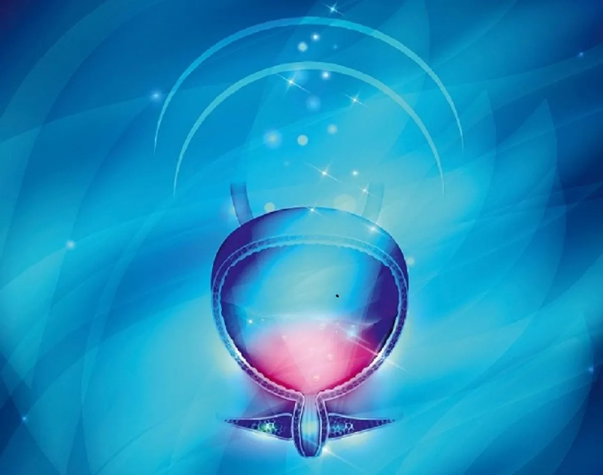 Séminaire d'infectiologie pour les praticiens 