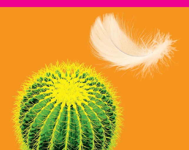 Webinaire douleur HUG