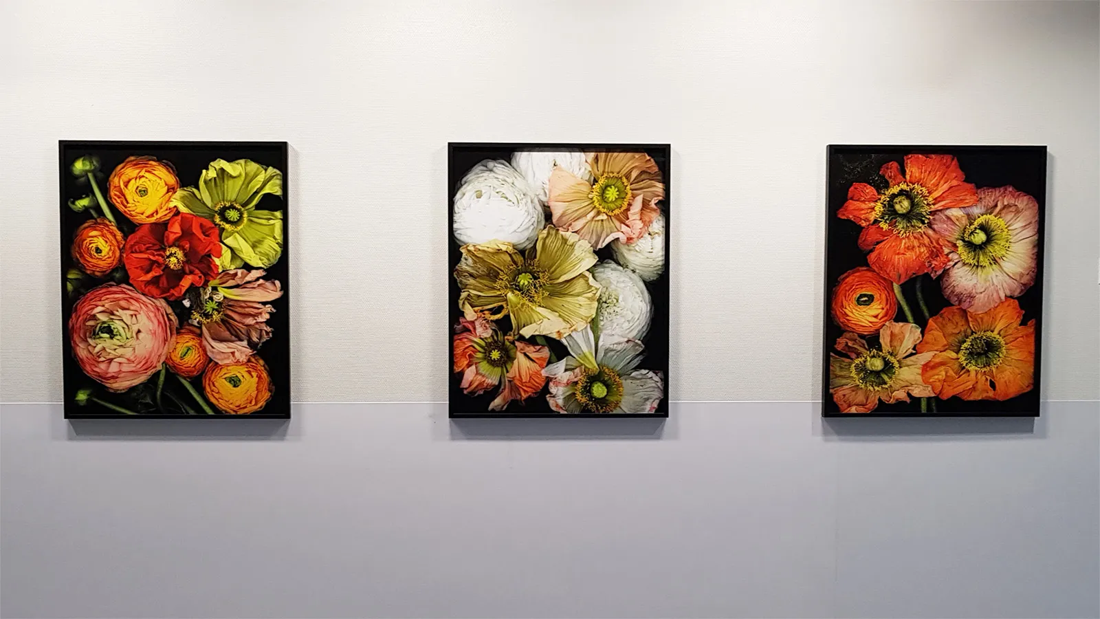 Image exposition des acquisitions récentes 