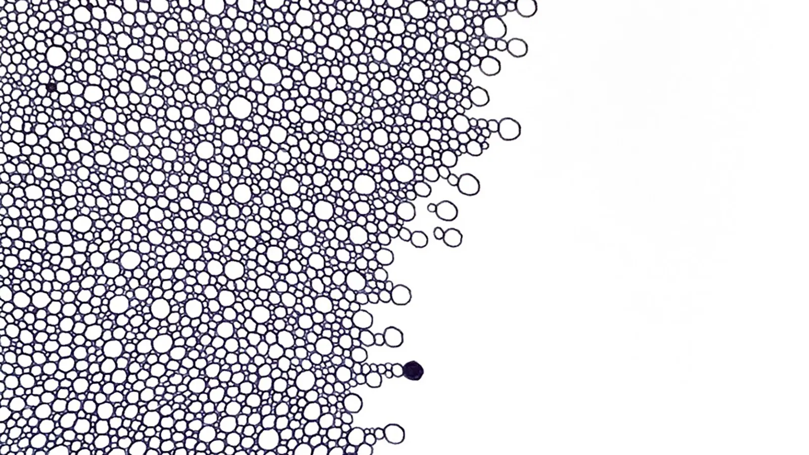 Marietta Isle - Smile oeuvre 23 