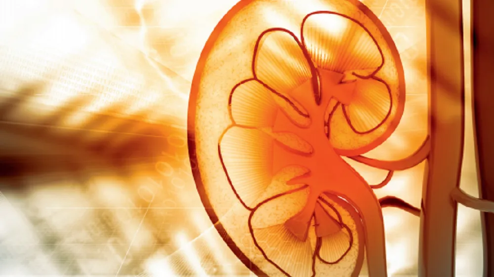 Insuffisance rénale