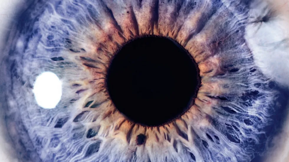 Brochure GIPP : corriger la position des paupières chez l'adulte