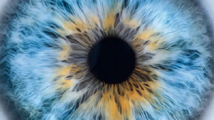 L'Organisation de vos traitements en ophtalmologie