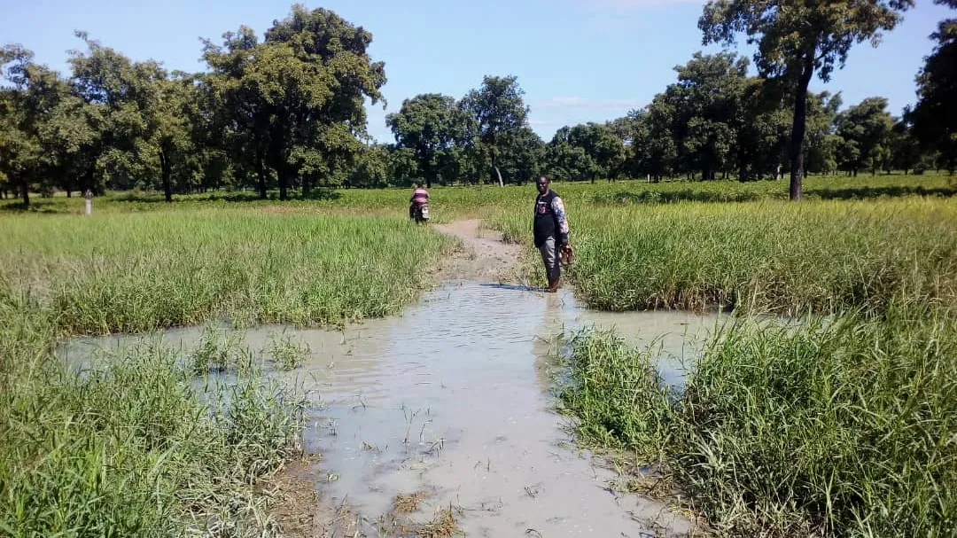 Projet Burkina Relais communautaires