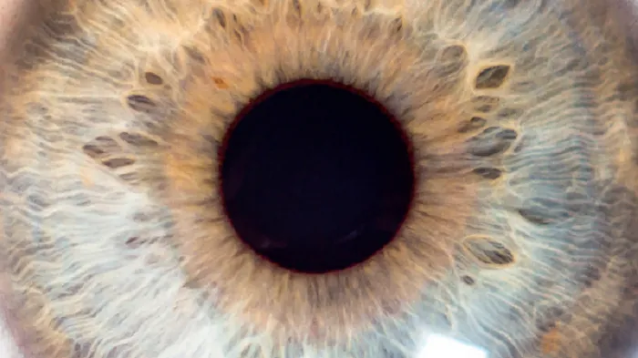 La rétinopathie du prématuré