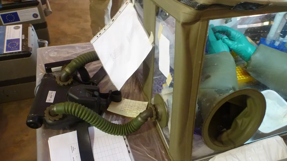 Fièvres hémorragiques virales