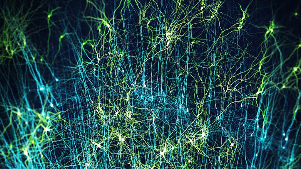 Détail d'une simulation de neurone - blue brain project 